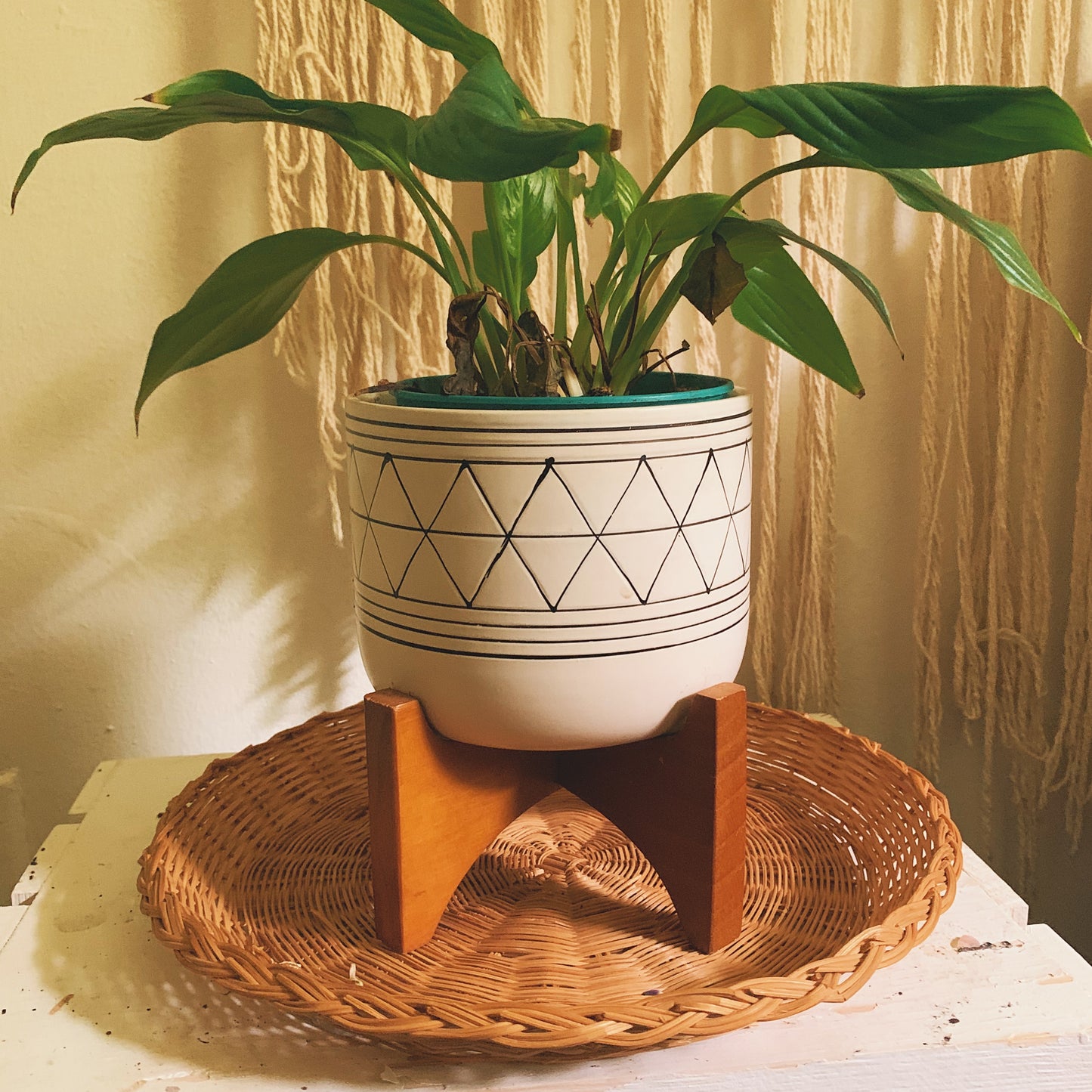 Rattan Catchall Tray + Plant Saucer - Shop Vanilla Vintage