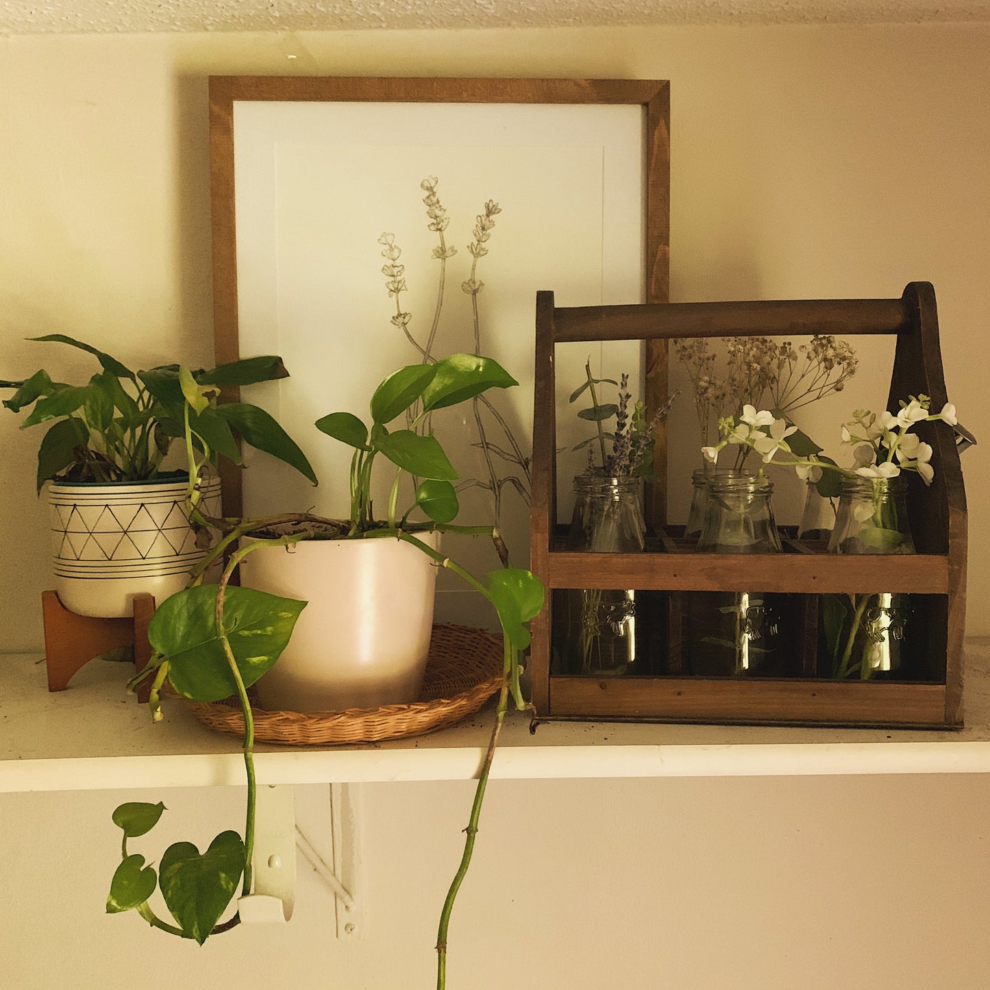 Rattan Catchall Tray + Plant Saucer - Shop Vanilla Vintage