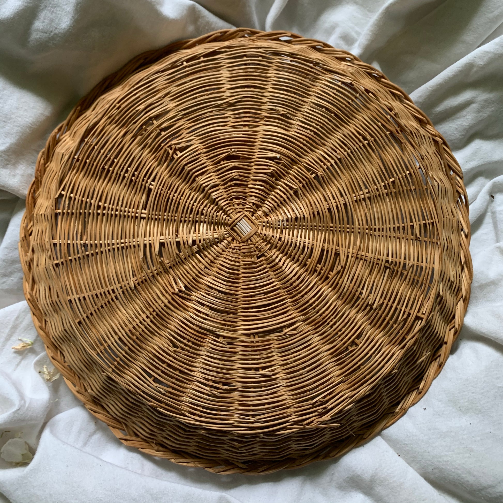 Rattan Catchall Tray + Plant Saucer - Shop Vanilla Vintage